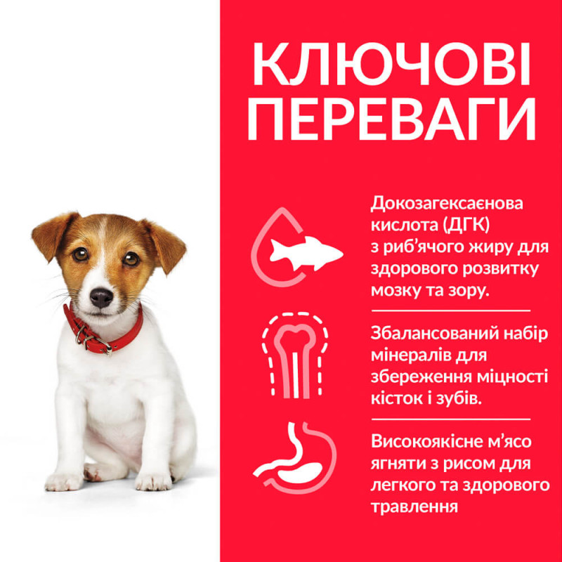Hill's SP Puppy Small & Mini Chicken сухий корм з куркою для щенят малих порід 1.5 кг - фото 2