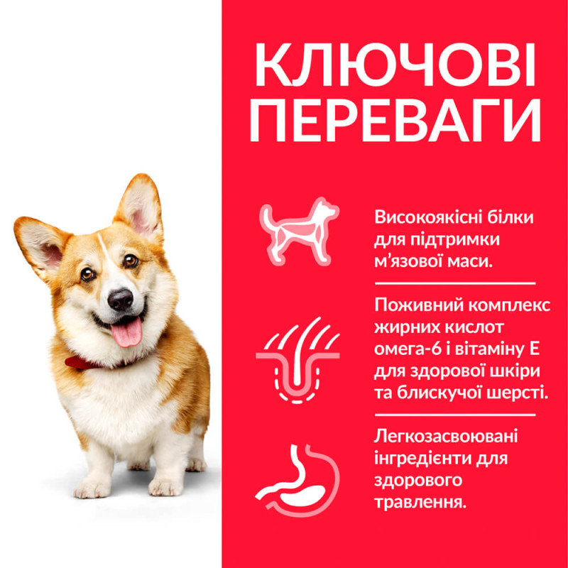 Hill's SP Canine Adult Small & Miniature Chicken сухий корм з куркою для собак малих порід 1.5 кг - фото 2