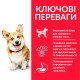 Hill's SP Canine Adult Small & Miniature Chicken сухий корм з куркою для собак малих порід 1.5 кг - фото 2