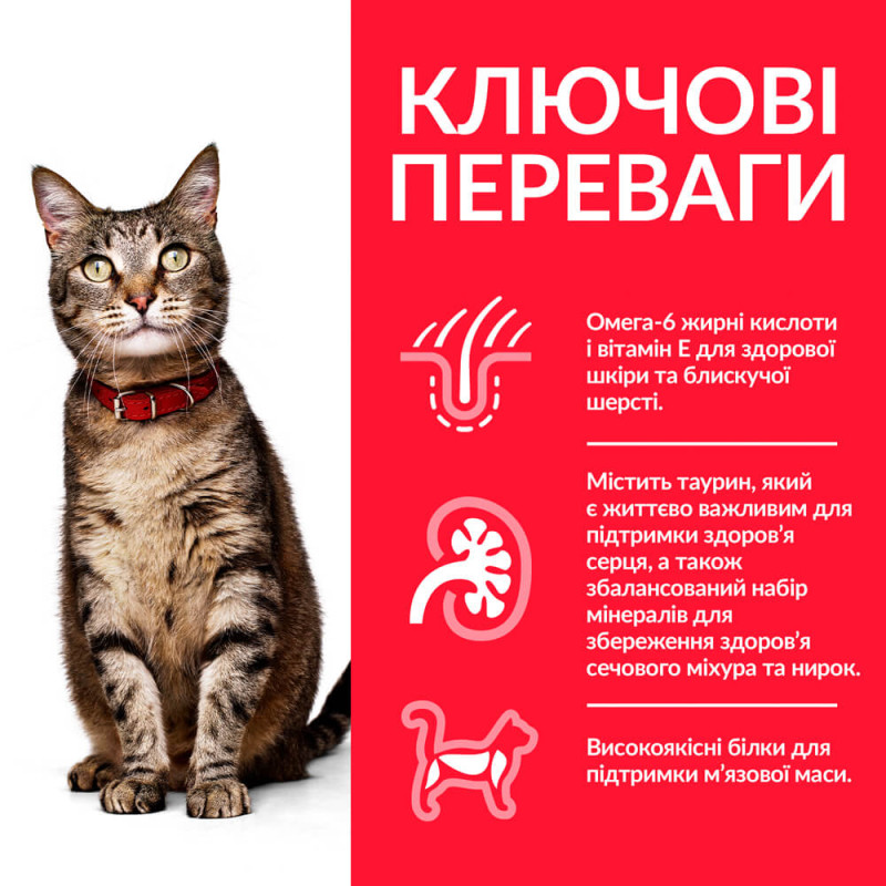Hill's SP Feline Adult Chicken сухой корм с курицей для котов, 1.5 кг - фото 2
