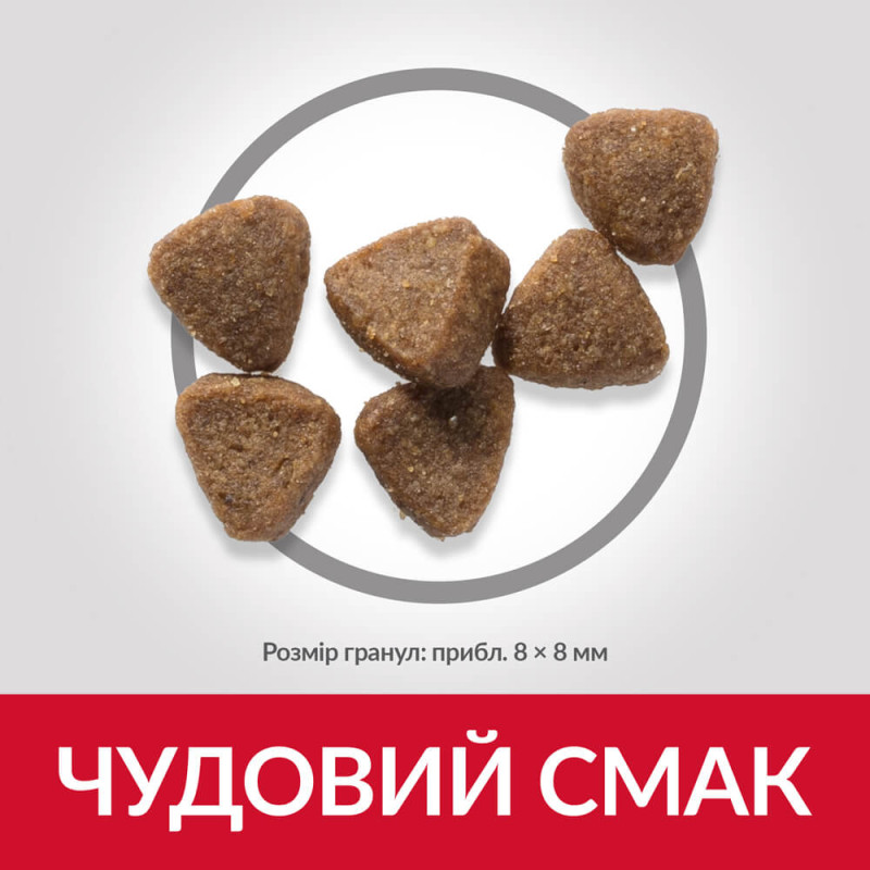 Hill's SP Kitten сухой корм c курицей для котят 1.5 кг - фото 3