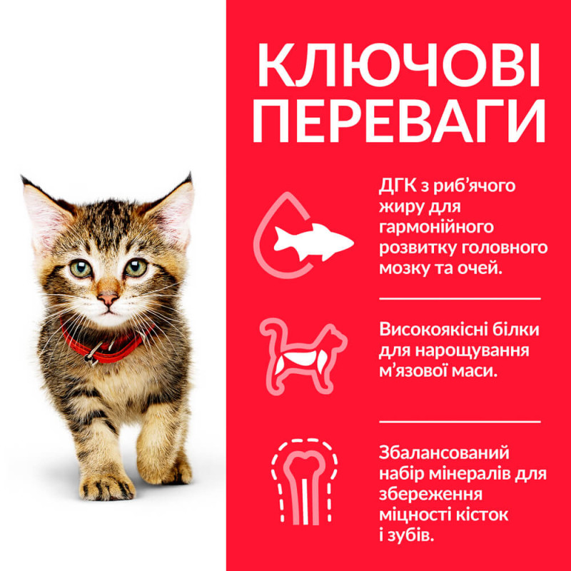 Hill's SP Kitten Tuna сухий корм з тунцем для кошенят 1.5 кг - фото 2