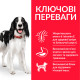 Hill's SP Canine Adult Medium Breed Lamb & Rice сухой корм с ягненком для собак средних пород 14 кг - фото 2