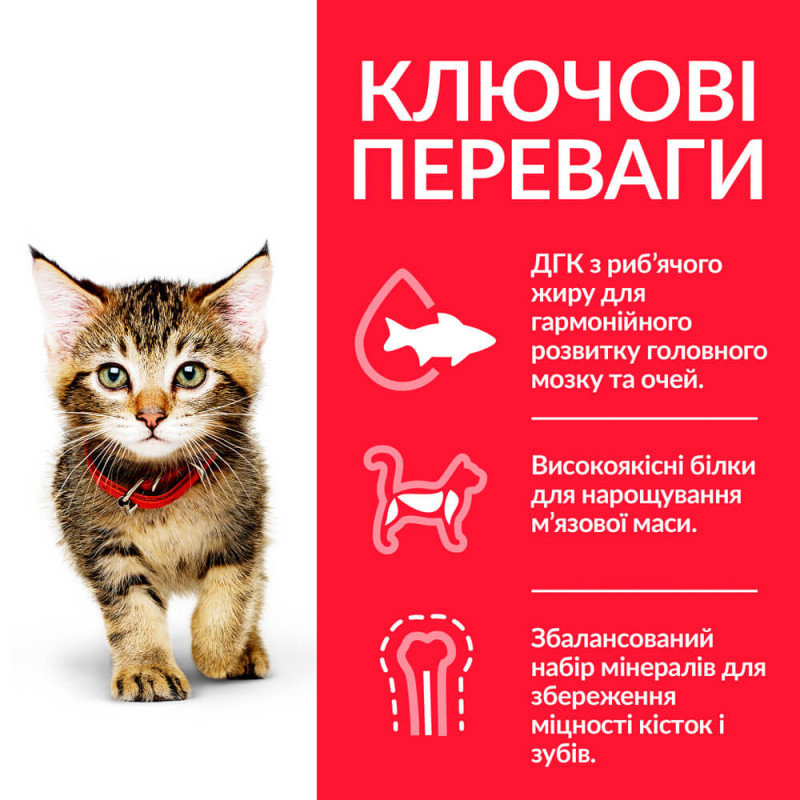 Hill's SP Kitten сухой корм c курицей для котят 300 гр - фото 2