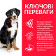 Hill's SP Canine Adult Large Breed Lamb & Rice сухий корм з ягнятком для собак великих та гігантських порід 14 кг - фото 2