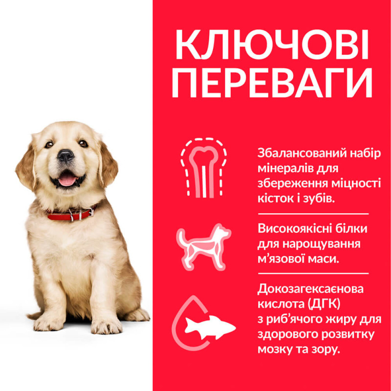 Hill's SP Puppy Large Breed Chicken сухой корм с курицей для щенят крупных и гигантских пород 2.5 кг - фото 2