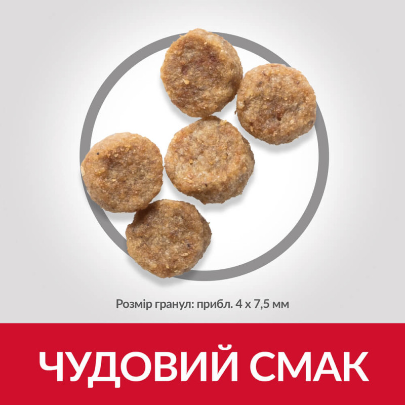 Hill's SP Canine Mature Adult Small & Mini сухой корм с курицей для стареющих собак мелких пород 3 кг - фото 2