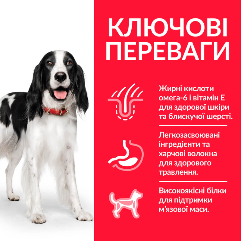 Hill's SP Canine Adult Medium Breed Chicken сухой корм с курицей для собак средних пород 2.5 кг - фото 2
