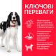 Hill's SP Canine Adult Medium Breed Chicken сухой корм с курицей для собак средних пород 2.5 кг - фото 2