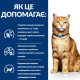 Hill’s PD C/D Multicare влажный корм с лососем для котов с заболеваниями мочеполовых путей 85 гр - фото 4