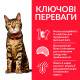Hill's SP Feline Adult Light Chicken сухий корм з куркою для котів схильних до ожиріння 1.5 кг - фото 2
