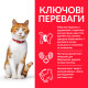 Hill's SP Feline Adult Sterilised Chicken сухой корм с курицей для стерилизованных котов 300 гр - фото 2