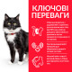 Hill's SP Feline Mature Adult 7+ Sterilised Chicken сухой корм с курицей для стерилизованных пожилых кошек 300 гр - фото 2