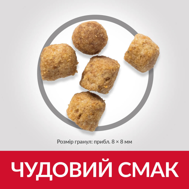 Hill's SP Feline Mature Adult 7+ Sterilised Chicken сухой корм с курицей для стерилизованных пожилых кошек 300 гр - фото 3