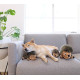 Outward Hound Hedgehogz іграшка для собак, 18 см - фото 5