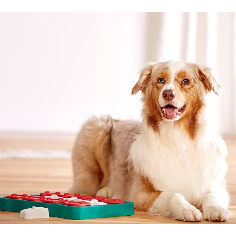 Outward Hound Nina Ottosson Dog Brick интерактивная игрушка для собак - фото 3
