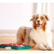 Outward Hound Nina Ottosson Dog Brick интерактивная игрушка для собак - фото 3