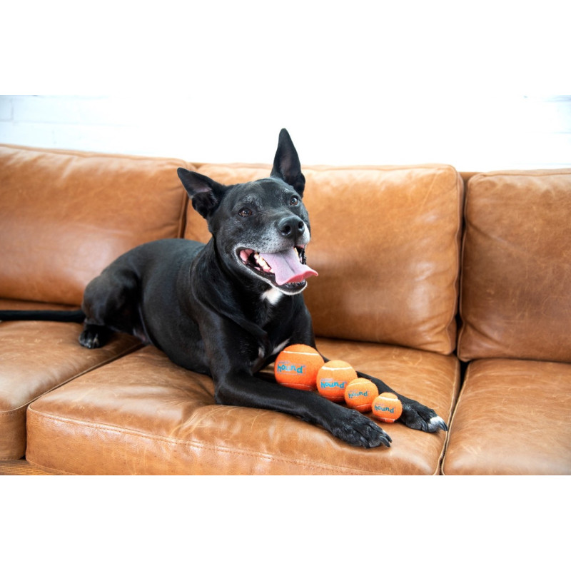 Outward Hound Squeaker Ballz Squeaky Tennis Balls набор игрушек для собак, 5 см - фото 3