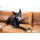 Outward Hound Squeaker Ballz Squeaky Tennis Balls набор игрушек для собак, 5 см - фото 3