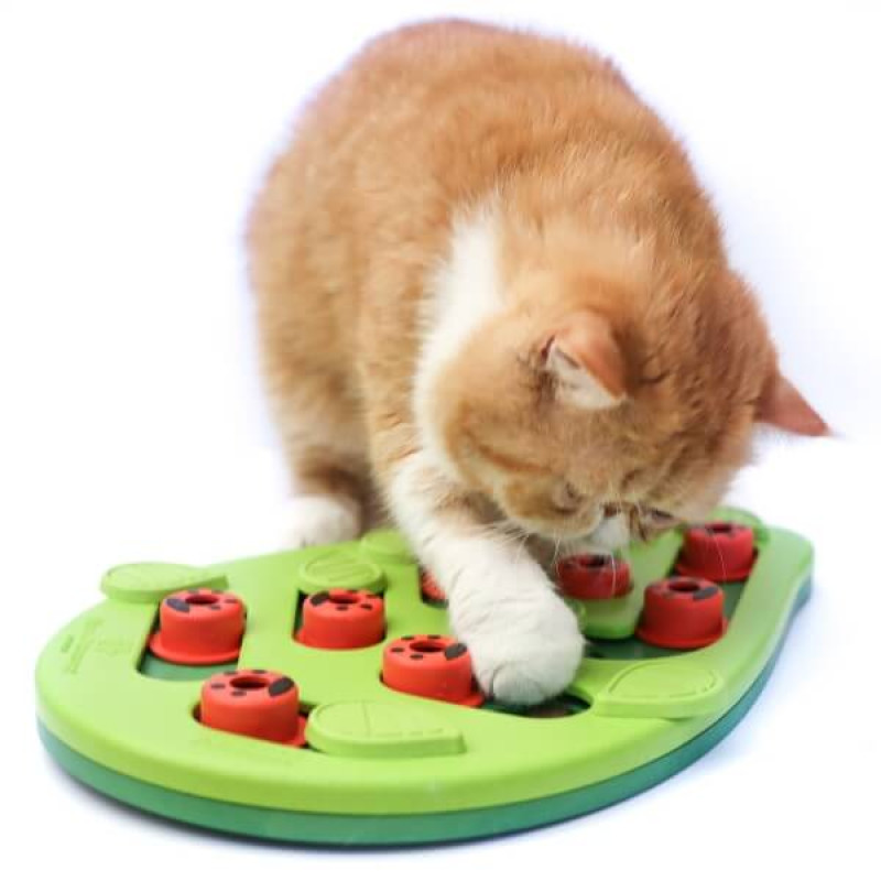 Outward Hound Nina Ottosson Buggin Out Puzzle & Play интерактивная игрушка для котов - фото 6