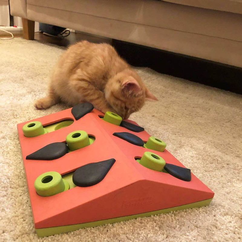 Outward Hound Nina Ottosson Puzzle & Play Melon Madness интерактивная игрушка для котов - фото 4