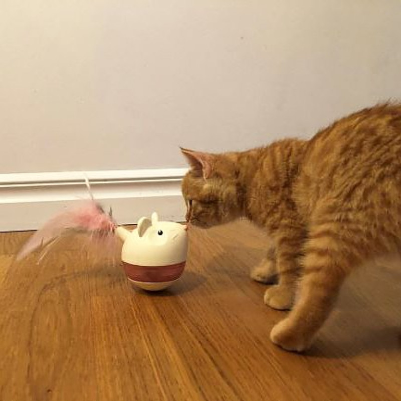Outward Hound Nina Ottosson Hunt `N Swat Treat Tumbler интерактивная игрушка для котов - фото 4