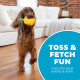 Outward Hound Dental Pineapple Dental Chew Toy игрушка для собак, 16.5 см - фото 6