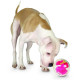 Outward Hound Planet Dog Mazee іграшка для собак рожева, 12.5 см - фото 2