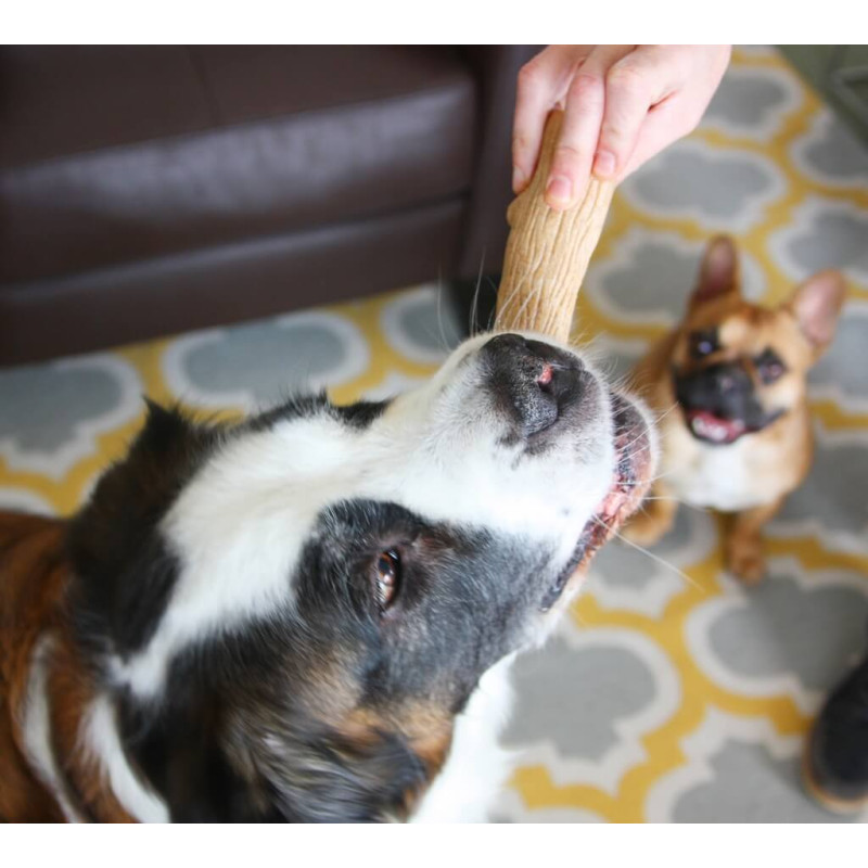 Outward Hound Dogwood Stick игрушка для собак, 19.5 см - фото 3