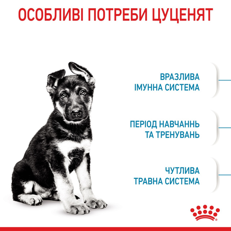 Royal Canin Maxi Puppy сухой корм для щенят крупных пород 4 кг - фото 3