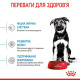 Royal Canin Maxi Puppy сухой корм для щенят крупных пород 4 кг - фото 4
