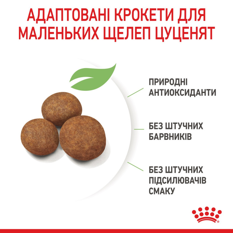 Royal Canin Maxi Puppy сухой корм для щенят крупных пород 4 кг - фото 5