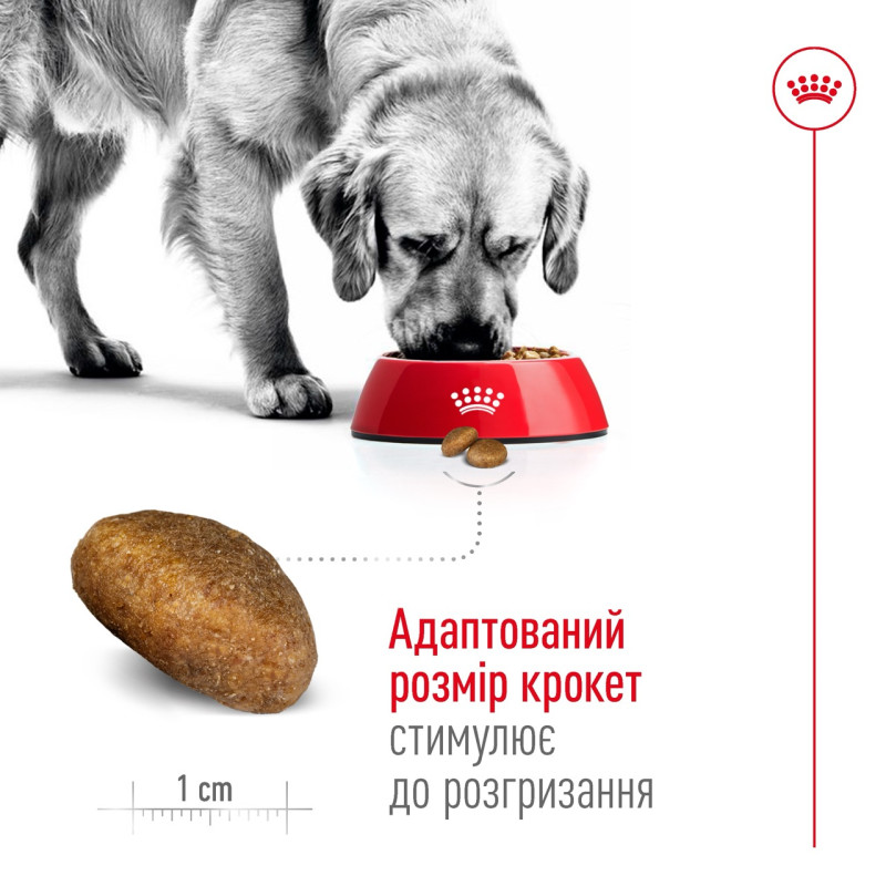 Royal Canin Maxi Adult 5+ сухой корм для собак крупных пород 15 кг - фото 4