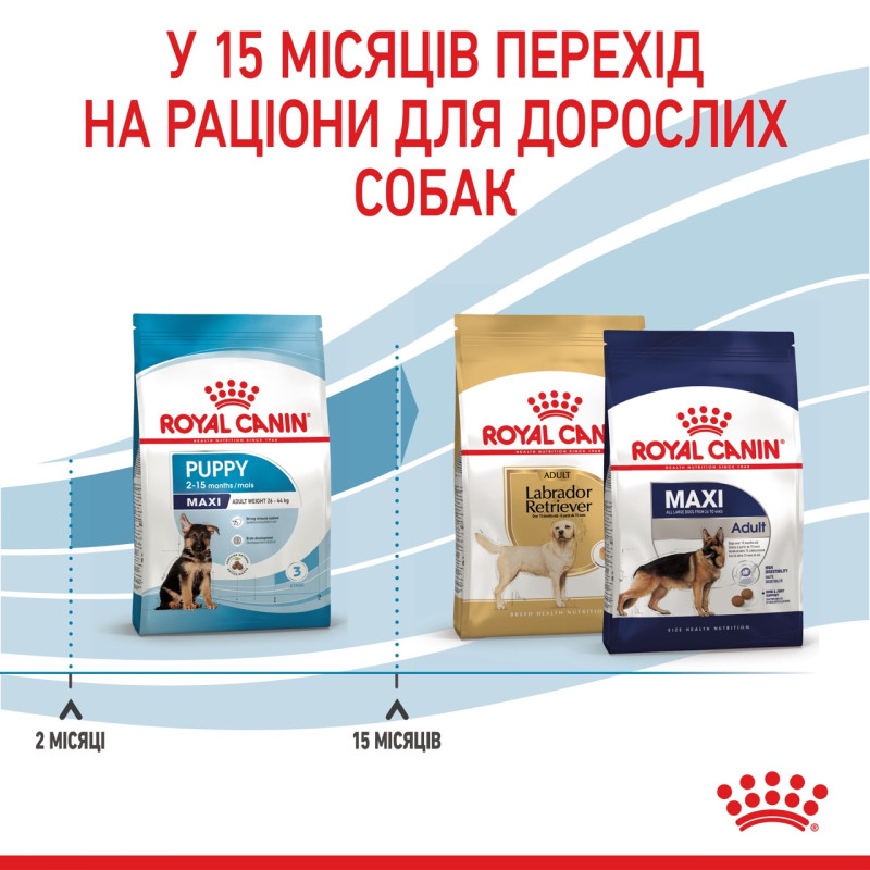 Royal Canin Maxi Puppy сухой корм для щенят крупных пород 1 кг - фото 6