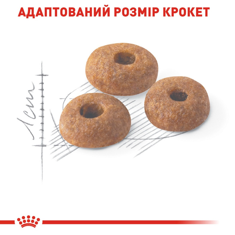 Royal Canin Fit 32 сухий корм для котів, що живуть у приміщенні 10 кг - фото 4