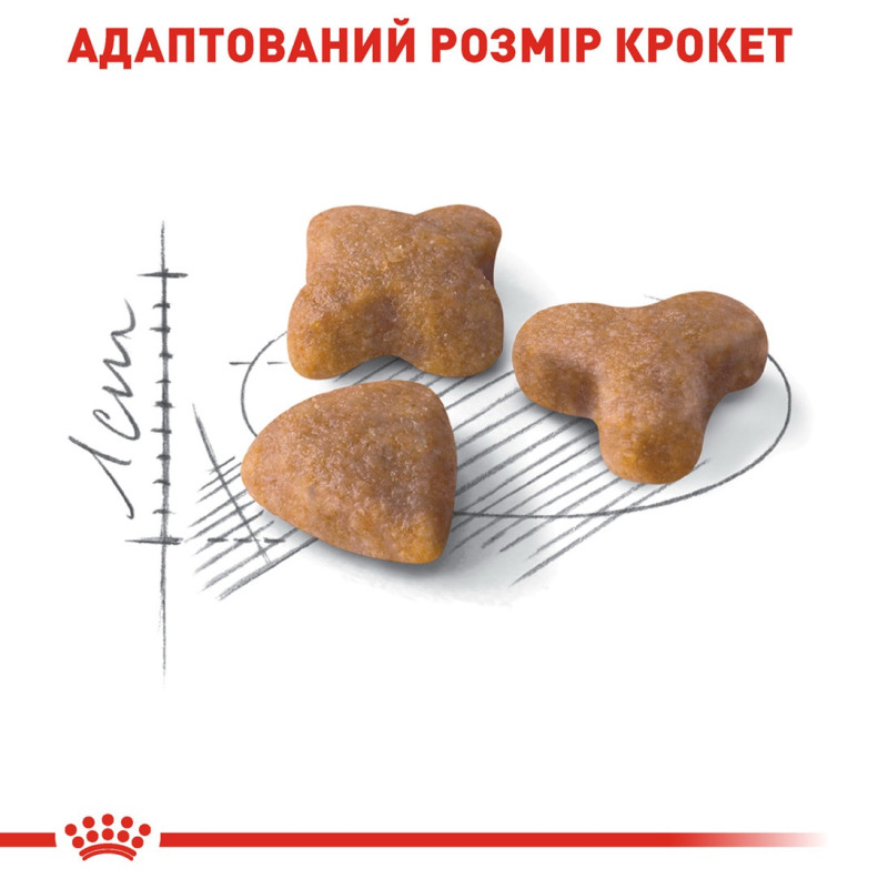Royal Canin Sensible сухой корм для котов с чувствительным пищеварением 10 кг - фото 4
