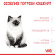 Royal Canin Kitten сухой корм для котят, 1.2 кг - фото 3