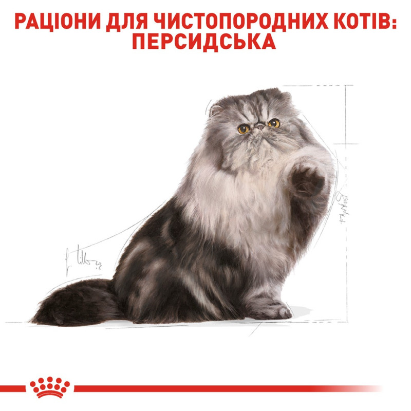 Royal Canin Persian сухой корм для персидских котов, 4 кг - фото 3