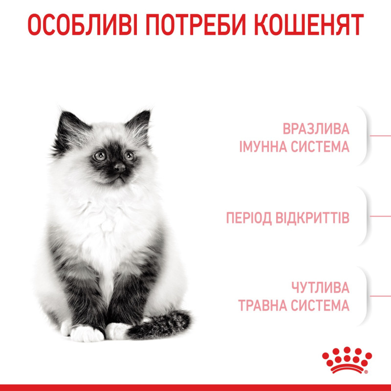 Royal Canin Kitten сухой корм для котят 10 кг - фото 3