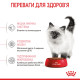 Royal Canin Kitten сухой корм для котят 10 кг - фото 4