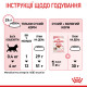 Royal Canin Kitten сухой корм для котят 10 кг - фото 9