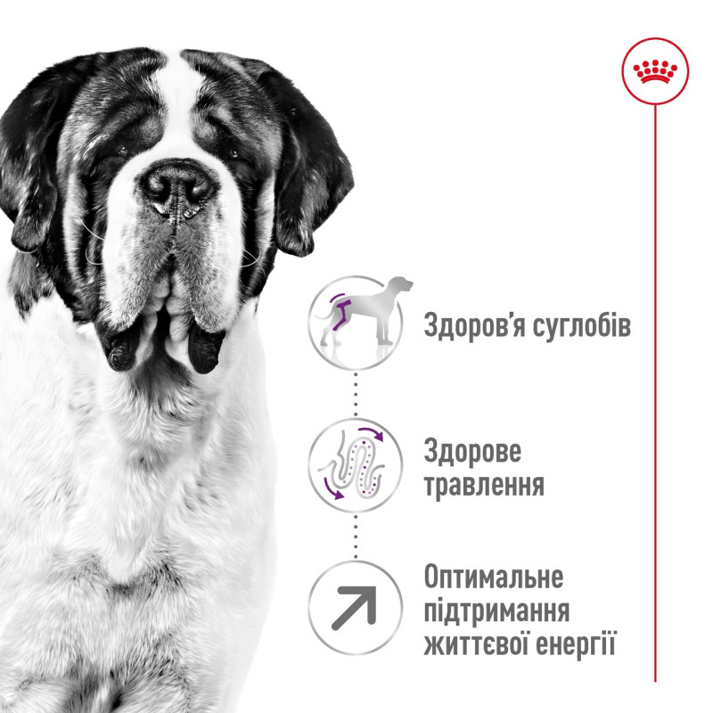 Royal Canin Giant Adult сухой корм для собак гигантских пород 15 кг - фото 2