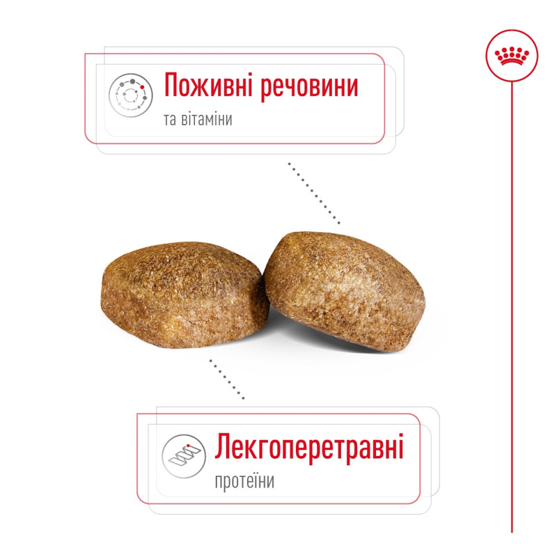 Royal Canin Giant Adult сухой корм для собак гигантских пород 15 кг - фото 3