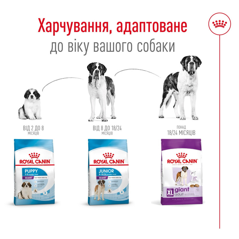 Royal Canin Giant Adult сухой корм для собак гигантских пород 15 кг - фото 5