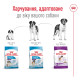 Royal Canin Giant Adult сухий корм для собак гігантських порід 4 кг - фото 5