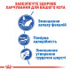 Royal Canin Indoor сухой корм для котов, живущих в помещении 400 гр - фото 4