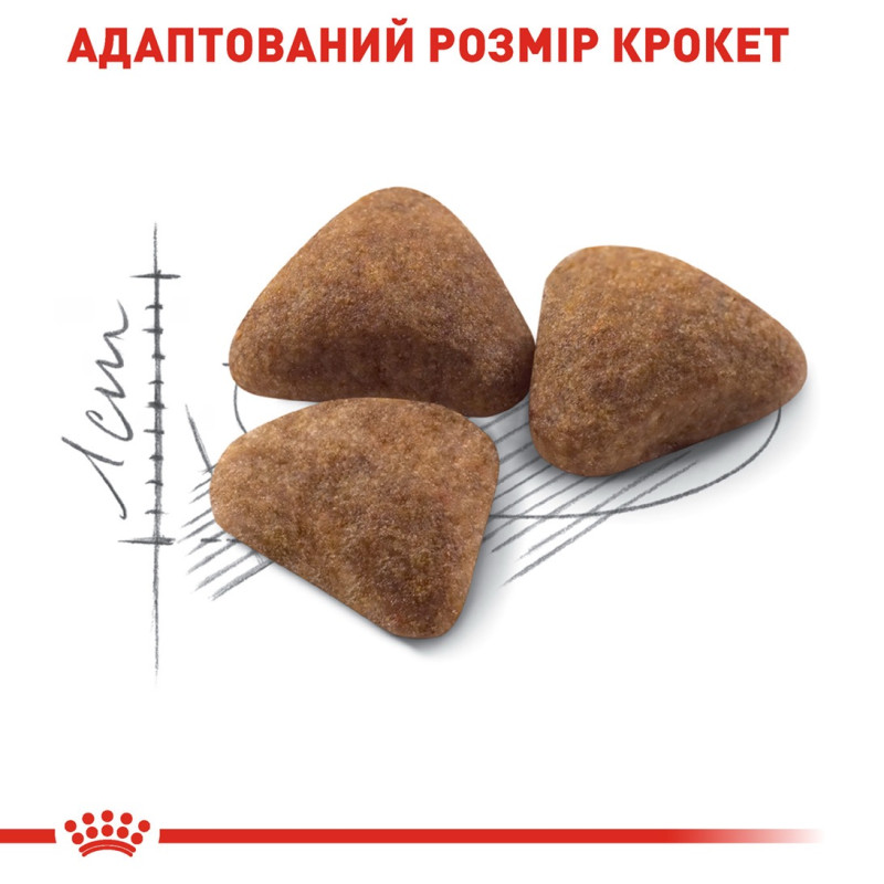 Royal Canin Indoor сухой корм для котов, живущих в помещении 400 гр - фото 5