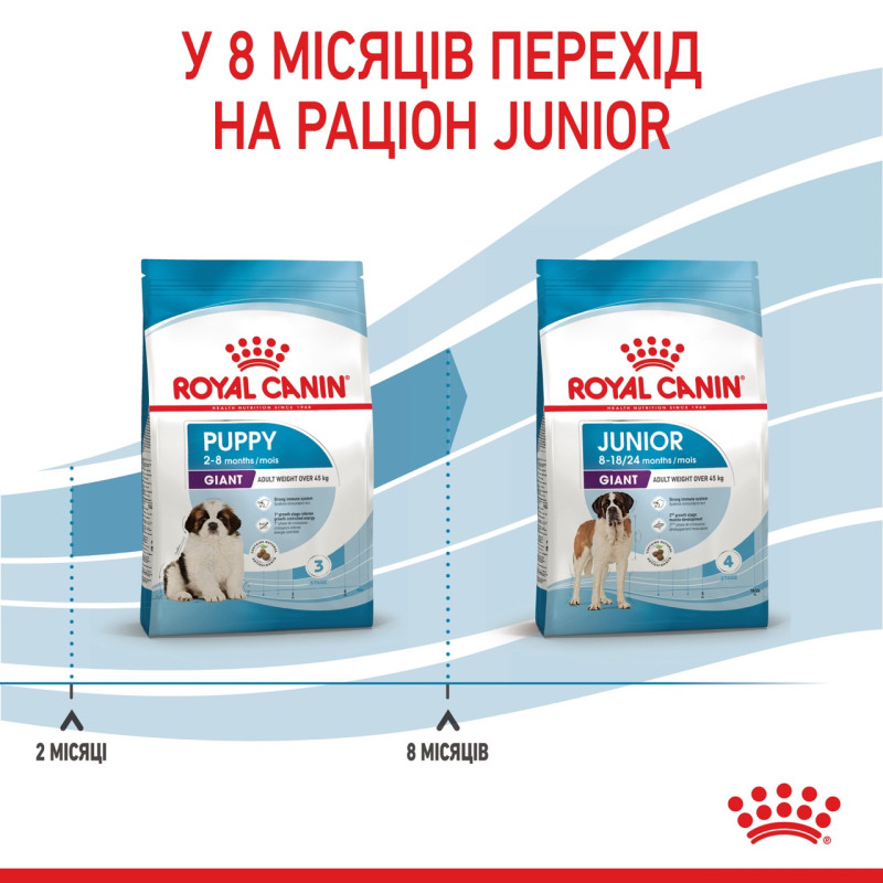 Royal Canin Giant Puppy сухой корм для щенят гигантских пород 1 кг - фото 9