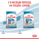 Royal Canin Giant Puppy сухой корм для щенят гигантских пород 15 кг - фото 9