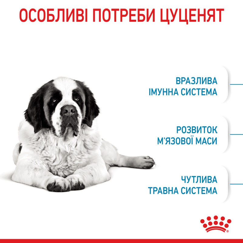 Royal Canin Giant Junior сухой корм для юниоров гигантских пород 15 кг - фото 2